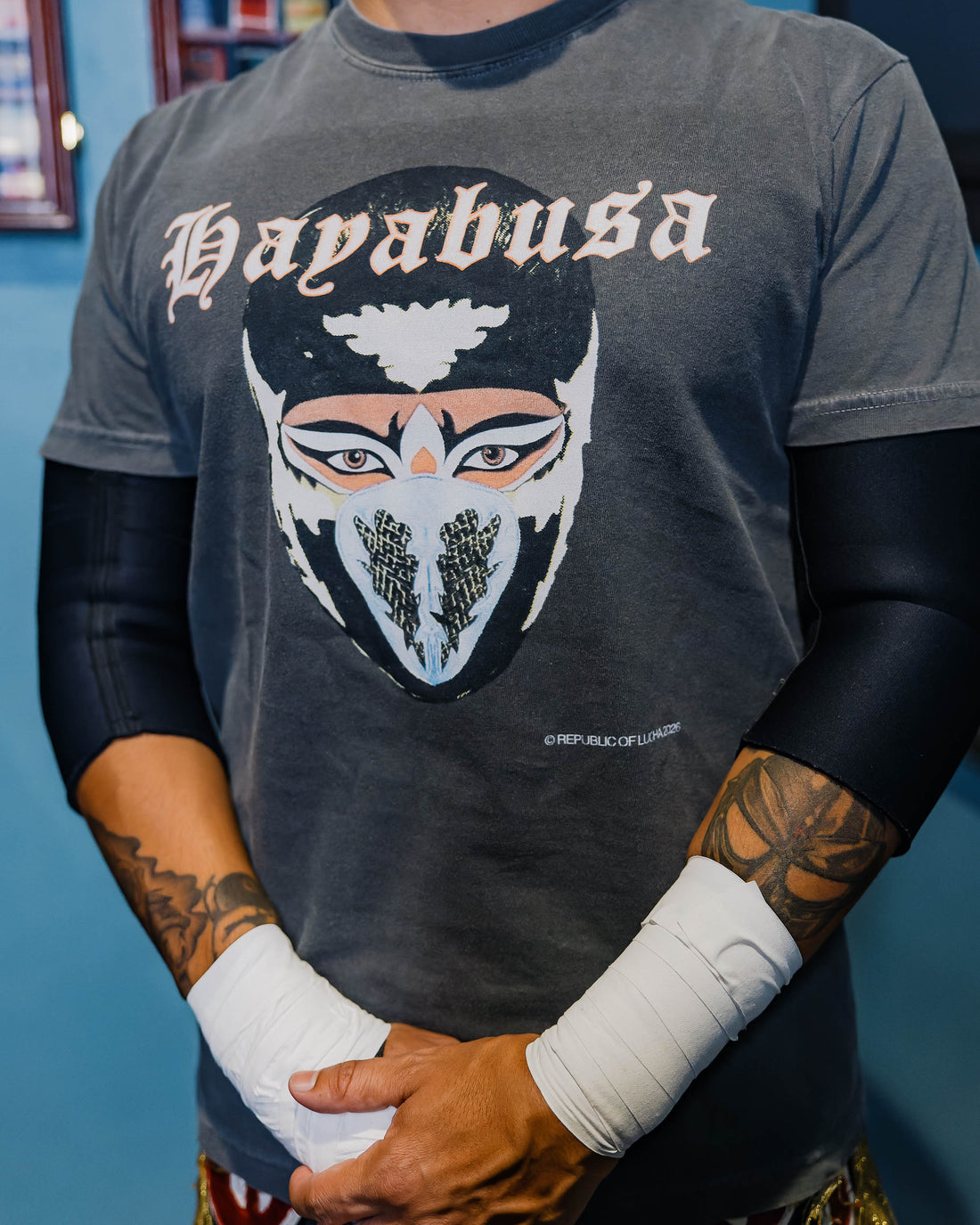 HAYABUSA Collection